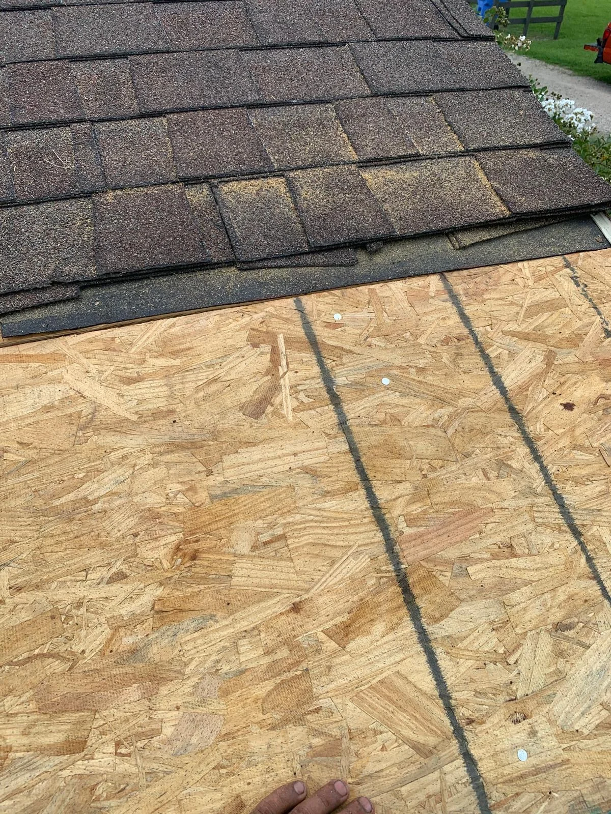 Roof decking with OSB sheathing, ice shield membrane, and installed architectural shingles
