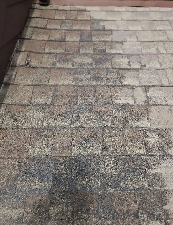Asphalt shingle roof with moss and algae cleaning in progress, showing treated versus untreated sections