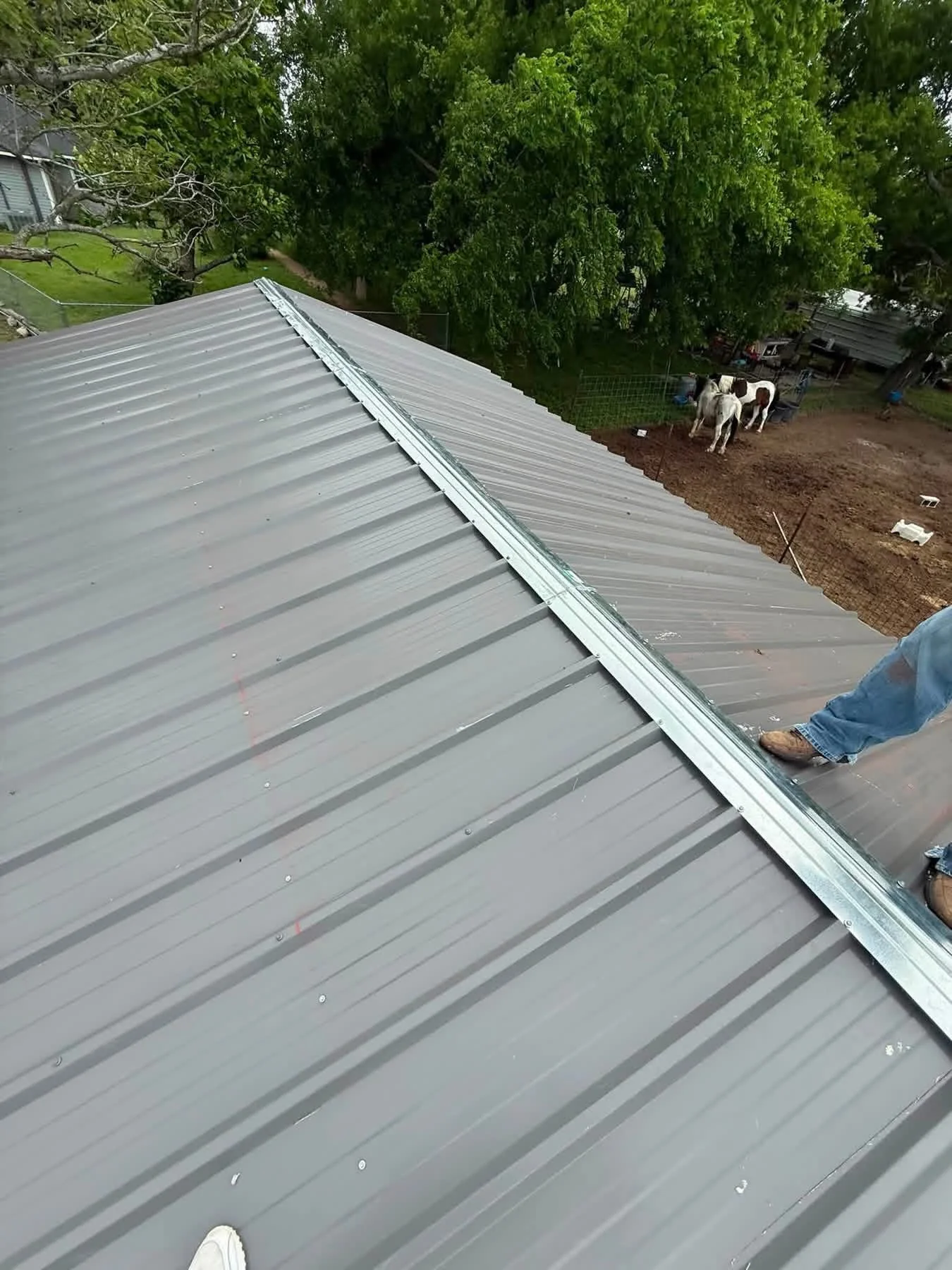 Gray standing seam metal roof with white gutter trim and corrugated panels